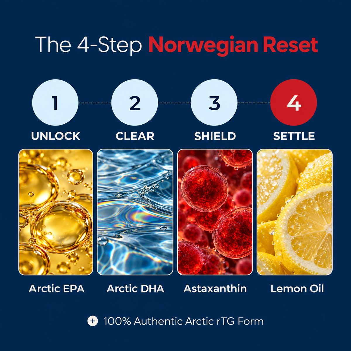 New Maximum Absorption Formula - Norwegian Red Fish Oil by BRGHT