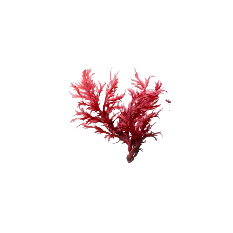 Natural Astaxanthin